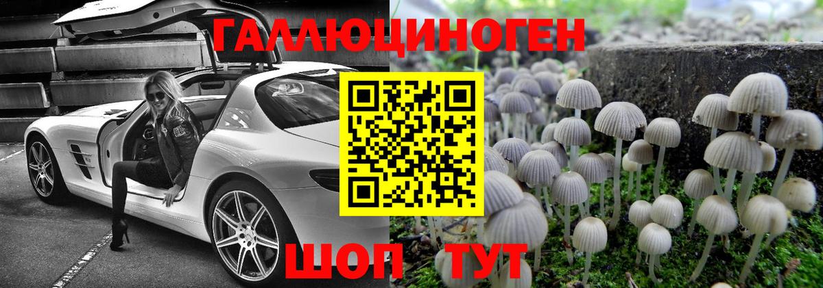 Орск  Галлюциногенные грибы Psilocybine cubensis  Вход с VPN 