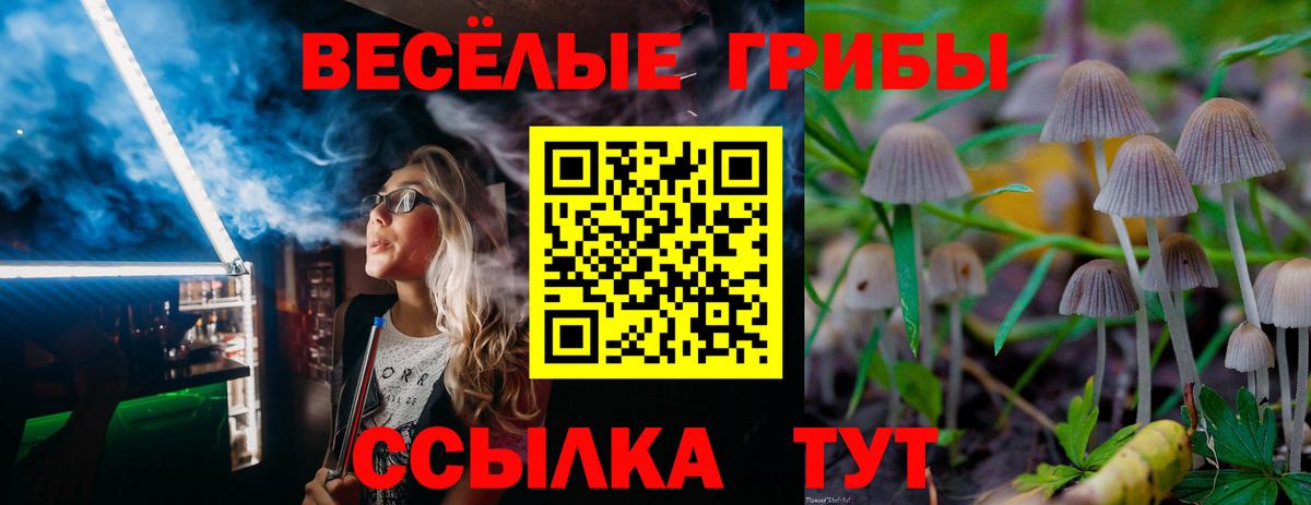 Псилоцибиновые грибы мицелий Орск
